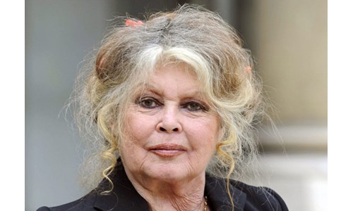 CESAR ÖDÜLLERİ TÖRENİNDE BRIGITTE BARDOT YUHALANDI